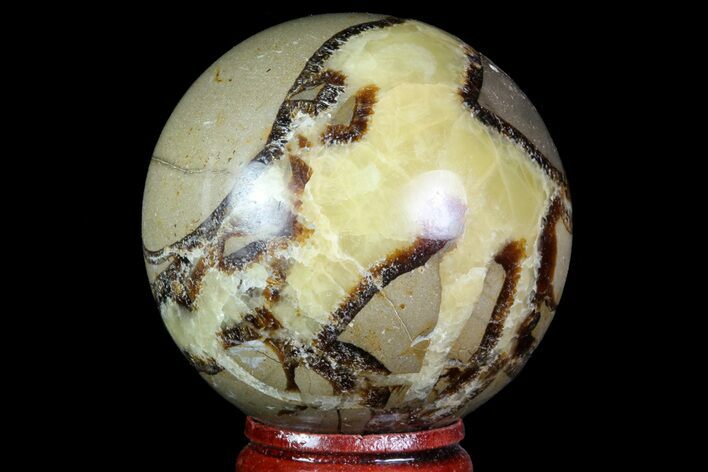Polished Septarian Sphere - Madagascar #71550